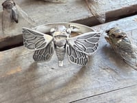 Image 3 of Cicada Cuff
