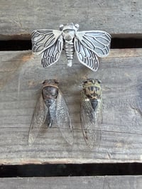 Image 5 of Cicada Cuff
