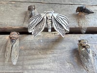 Image 10 of Cicada Cuff