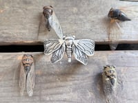 Image 1 of Cicada Cuff