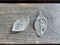 Image 7 of Dogwood Leaf earrings