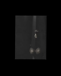 Image 5 of 01-KSLT.T