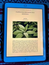 Image 2 of EBOOK SALUD MENSTRUAL Y NATUROPATÍA 