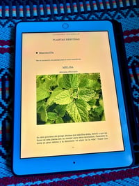 Image 4 of EBOOK SALUD MENSTRUAL Y NATUROPATÍA 