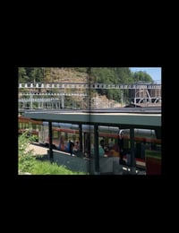 Image 4 of 08-LIFE