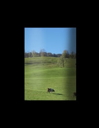 Image 5 of 08-LIFE
