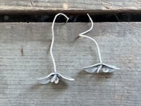 Image 2 of Sprouts