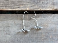 Image 1 of Sprouts