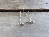 Image 3 of Sprouts
