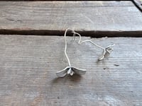 Image 4 of Sprouts
