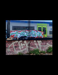 Image 2 of 12-TEKIR