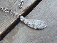Image 1 of Maple Seed