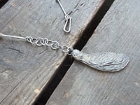 Image 4 of Maple Seed
