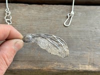 Image 5 of Maple Seed
