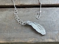 Image 9 of Maple Seed