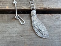 Image 11 of Maple Seed