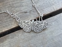 Image 3 of Tiger Moth