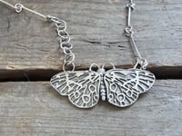 Image 2 of Tiger Moth