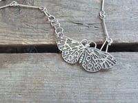 Image 4 of Tiger Moth