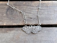 Image 5 of Tiger Moth