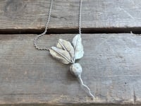 Image 2 of The Earlybird Radish