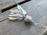Image 3 of The Earlybird Radish