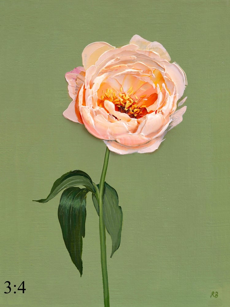 Image of Kings Day Peony Giclée Print