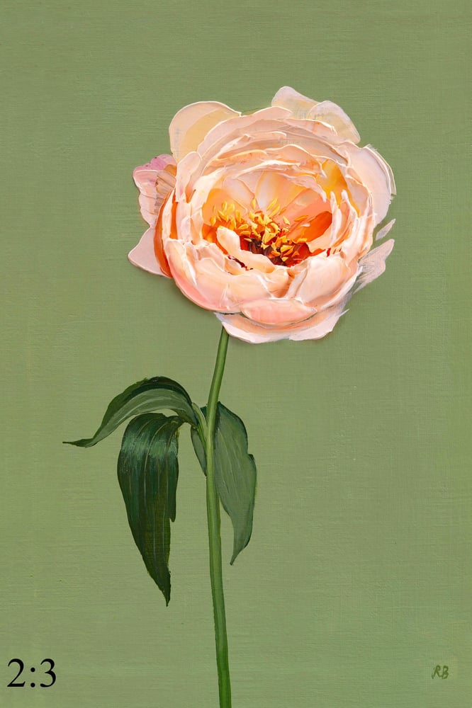 Image of Kings Day Peony Giclée Print