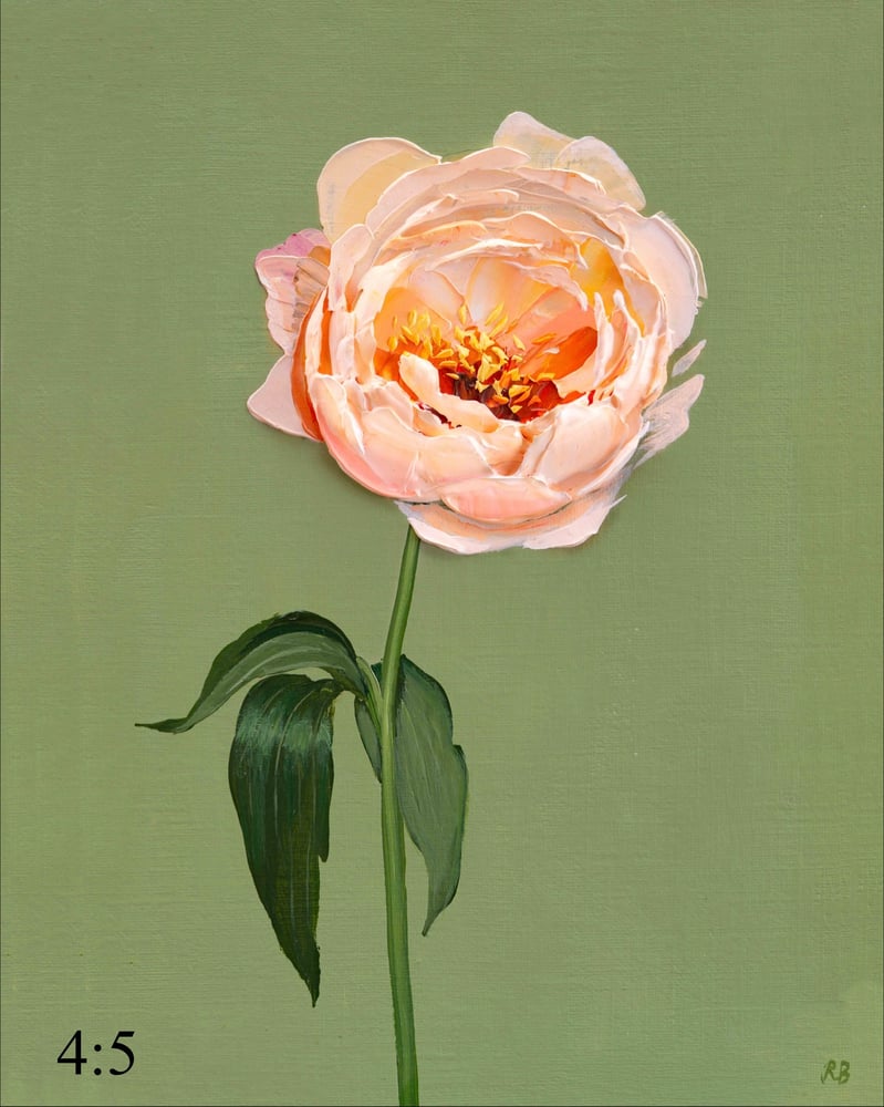 Image of Kings Day Peony Giclée Print