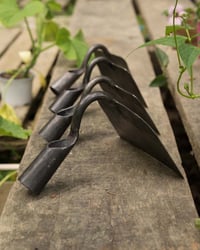 Image 5 of Raclettes de désherbage