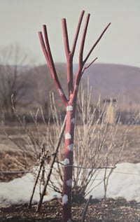 Image 7 of Yury Toroptsov - Deleted Scene (Signed)