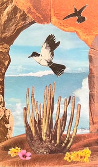 The Last Organ Pipe