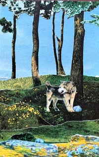 Moose and His Rock