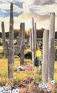 Sentinels