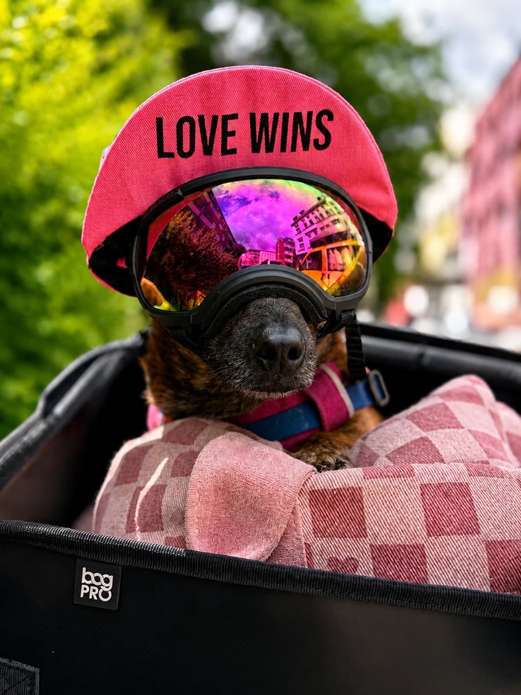 Image of love wins Cycling Cap