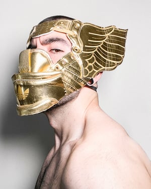 Image of SNKR GLD WING MASK