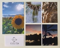 Image 1 of Nature Postcard Set (7pc)