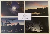 Image 2 of Nature Postcard Set (7pc)