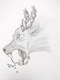 Image 3 of Vol. I - Expressions of Fury