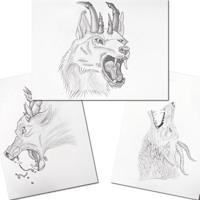 Image 1 of Vol. I - Expressions of Fury