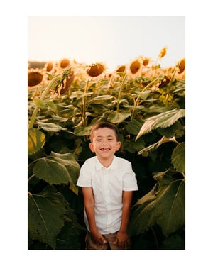 Image of 2026 SUNFLOWER SESSIONS
