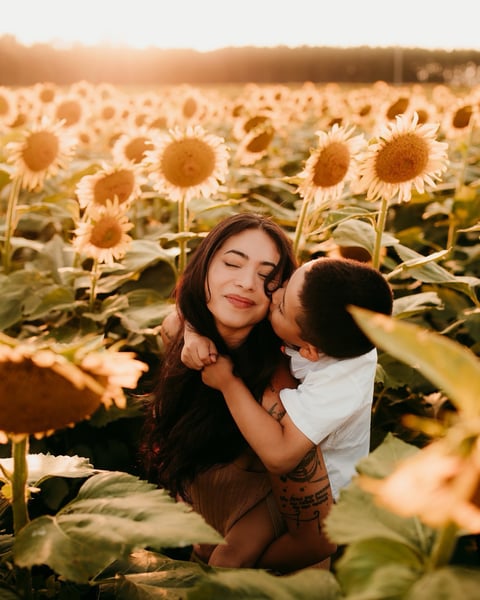 Image of 2026 SUNFLOWER SESSIONS