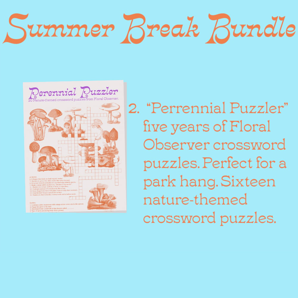 Summer Break Bundle