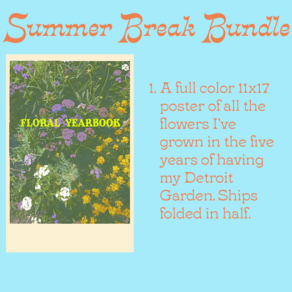 Summer Break Bundle