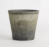 Image 3 of Delphinium Grey Pot