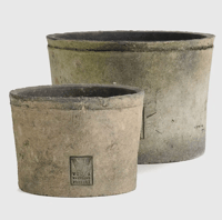 Image 1 of Foxglove Grey Pot