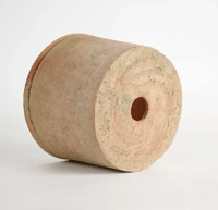 Image 4 of Foxglove Terracotta Pot