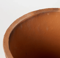 Image 3 of Foxglove Terracotta Pot