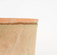 Image 2 of Foxglove Terracotta Pot