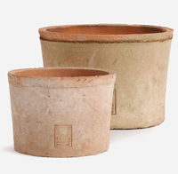 Image 1 of Foxglove Terracotta Pot